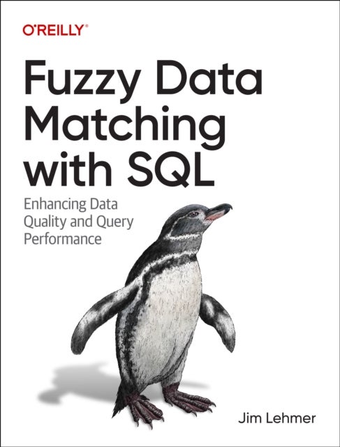 Fuzzy Data Matching with SQL - Enhancing Data Quality and Query Performance