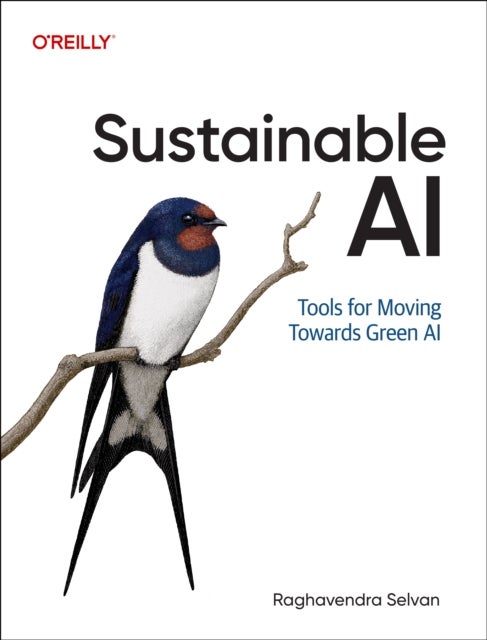 Sustainable AI - Tools for Moving Towards Green AI
