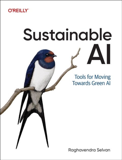 Sustainable AI - Tools for Moving Towards Green AI