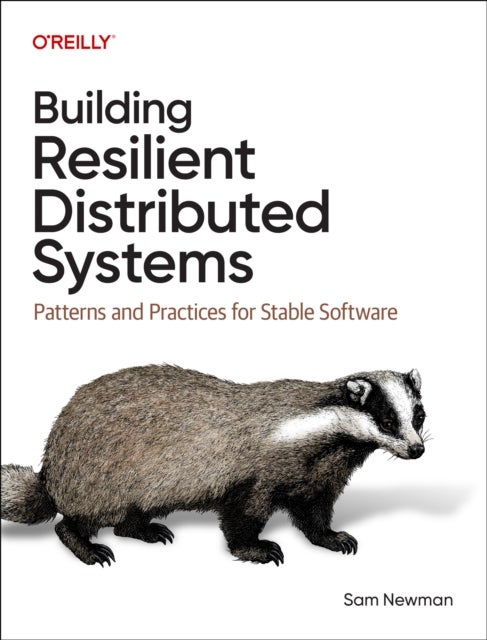 Building Resilient Distributed Systems - Patterns and Practices for Stable Software