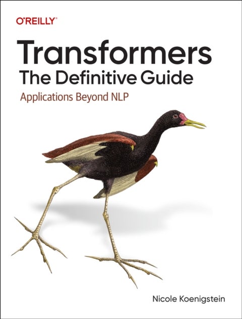 Transformers: The Definitive Guide - Applications Beyond Nlp