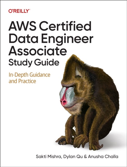 AWS Certified Data Engineer Associate Study Guide - In-Depth Guidance and Practice