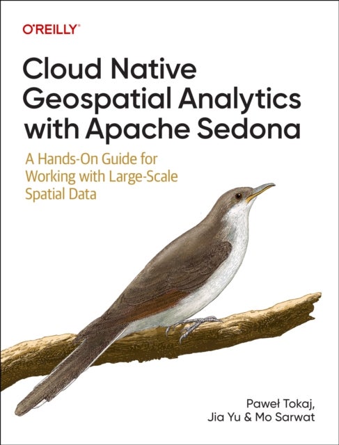 Cloud Native Geospatial Analytics with Apache Sedona - A Hands-On Guide For Working With Large-Scale Spatial Data