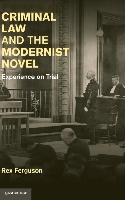 Criminal Law and the Modernist Novel - Experience on Trial