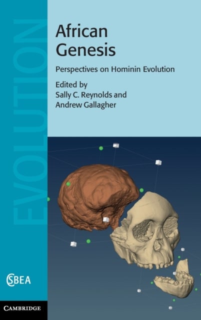 African Genesis - Perspectives on Hominin Evolution