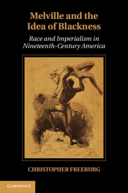 Melville and the Idea of Blackness - Race and Imperialism in Nineteenth-Century America