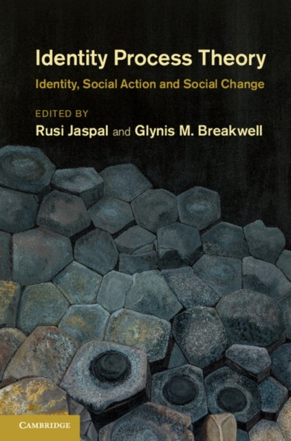 Identity Process Theory - Identity, Social Action and Social Change