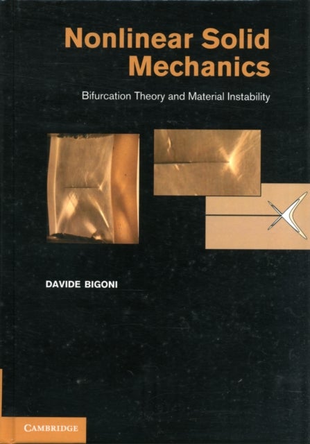 Nonlinear Solid Mechanics - Bifurcation Theory and Material Instability