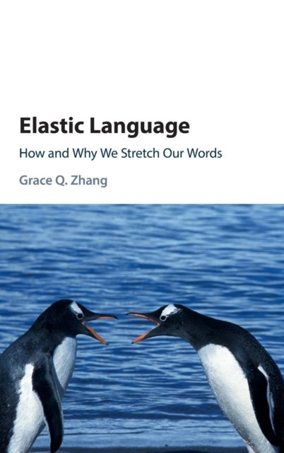 Elastic Language - How and Why We Stretch our Words