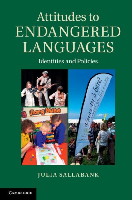 Attitudes to Endangered Languages - Identities and Policies