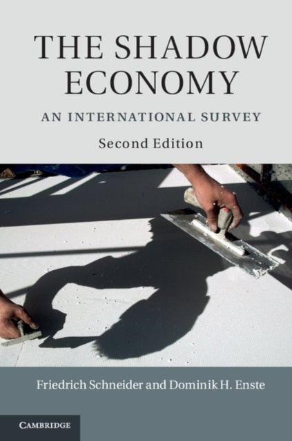 The Shadow Economy - An International Survey