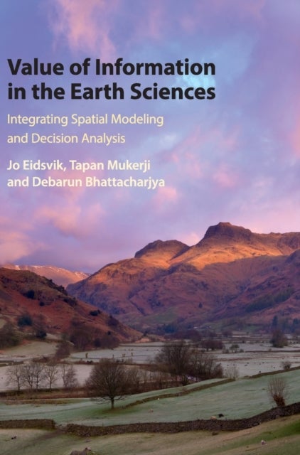 Value of Information in the Earth Sciences - Integrating Spatial Modeling and Decision Analysis