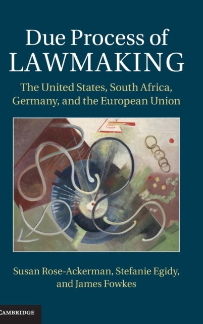 Due Process of Lawmaking - The United States, South Africa, Germany, and the European Union