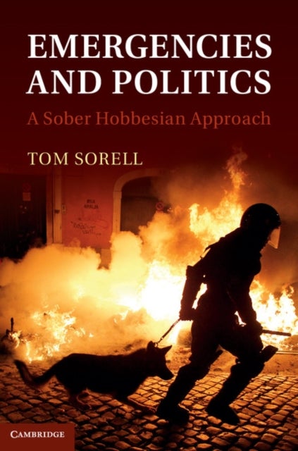 Emergencies and Politics - A Sober Hobbesian Approach