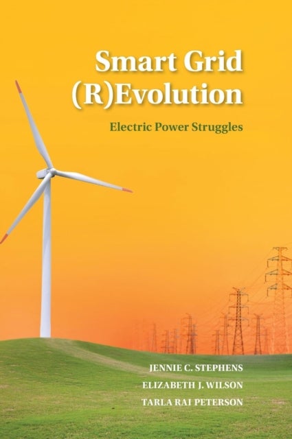 Smart Grid (R)Evolution - Electric Power Struggles