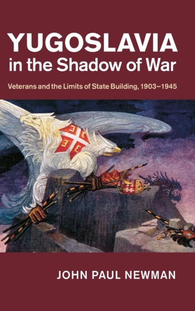 Yugoslavia in the Shadow of War - Veterans and the Limits of State Building, 1903–1945