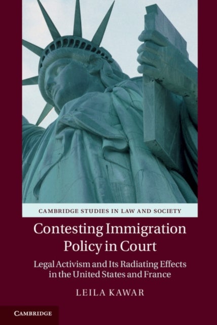Contesting Immigration Policy in Court - Legal Activism and its Radiating Effects in the United States and France