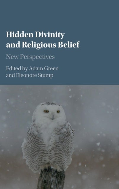 Hidden Divinity and Religious Belief - New Perspectives