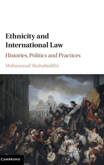 Ethnicity and International Law - Histories, Politics and Practices