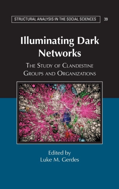 Illuminating Dark Networks - The Study of Clandestine Groups and Organizations