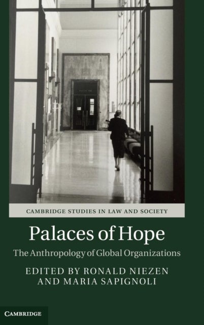 Palaces of Hope - The Anthropology of Global Organizations