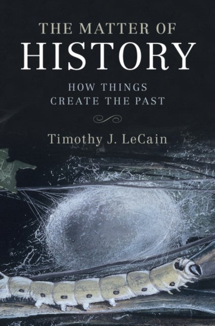 The Matter of History - How Things Create the Past