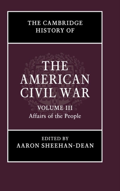 The Cambridge History of the American Civil War: Volume 3, Affairs of the People