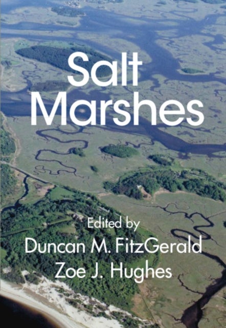 Salt Marshes - Function, Dynamics, and Stresses