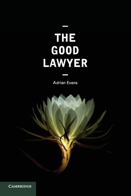 The Good Lawyer - A Student Guide to Law and Ethics