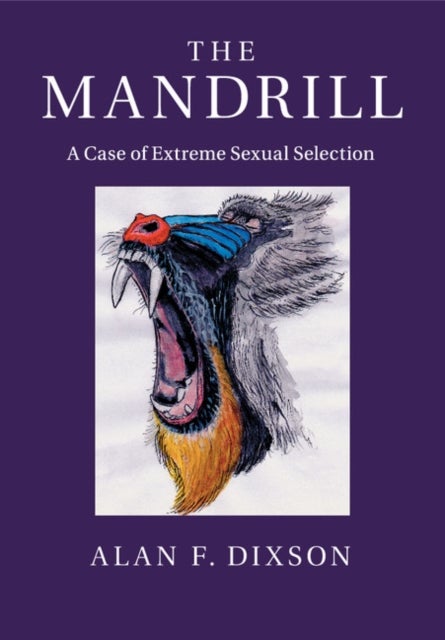 The Mandrill - A Case of Extreme Sexual Selection