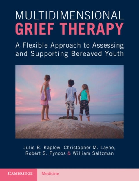 Multidimensional Grief Therapy - A Flexible Approach to Assessing and Supporting Bereaved Youth