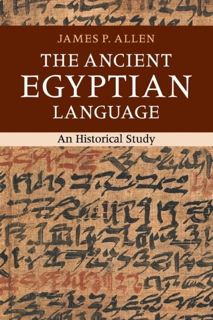 The Ancient Egyptian Language - An Historical Study
