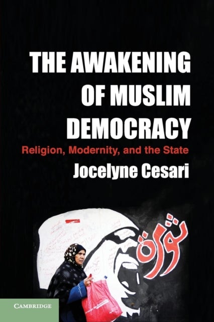 The Awakening of Muslim Democracy - Religion, Modernity, and the State