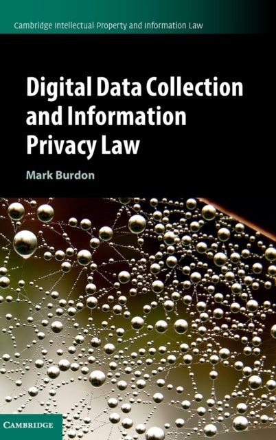 Digital Data Collection and Information Privacy Law
