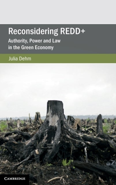 Reconsidering REDD+ - Authority, Power and Law in the Green Economy