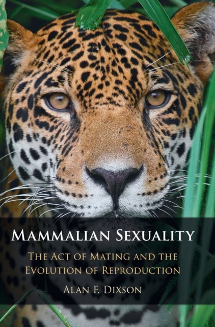 Mammalian Sexuality - The Act of Mating and the Evolution of Reproduction