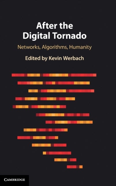 After the Digital Tornado - Networks, Algorithms, Humanity