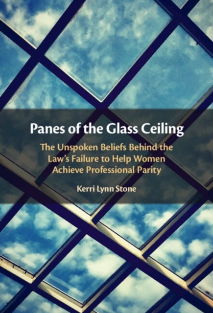 Panes of the Glass Ceiling - The Unspoken Beliefs Behind the Law's Failure to Help Women Achieve Professional Parity