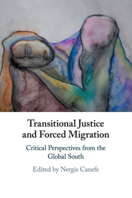 Transitional Justice and Forced Migration - Critical Perspectives from the Global South