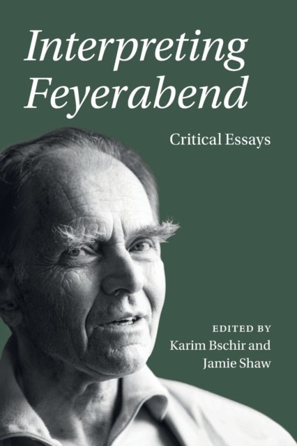 Interpreting Feyerabend - Critical Essays