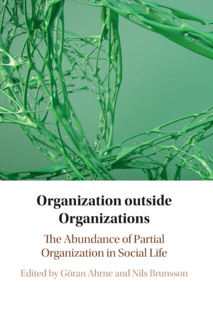 Organization outside Organizations - The Abundance of Partial Organization in Social Life