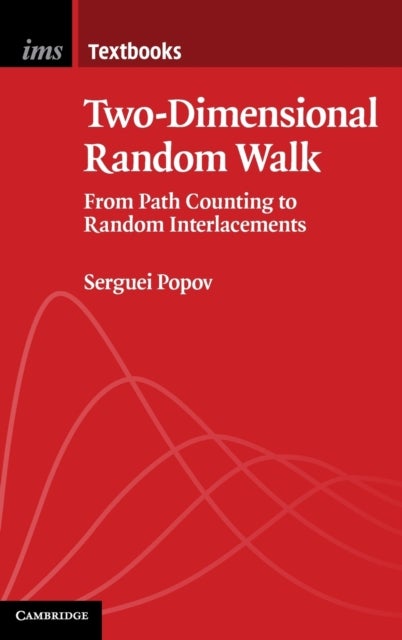 Two-Dimensional Random Walk - From Path Counting to Random Interlacements