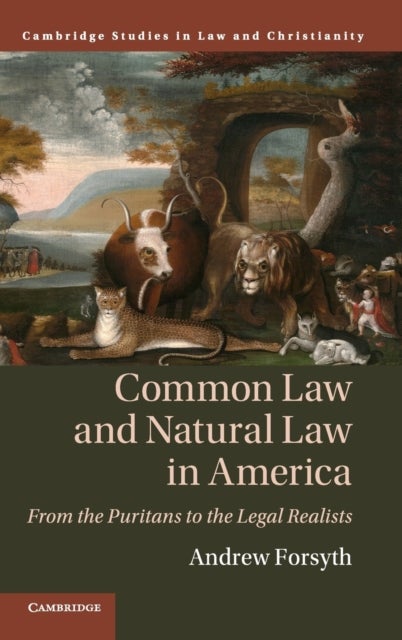 Common Law and Natural Law in America - From the Puritans to the Legal Realists