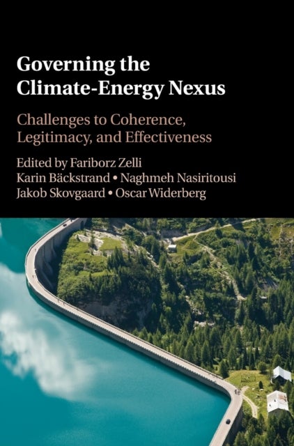 Governing the Climate-Energy Nexus - Institutional Complexity and Its Challenges to Effectiveness and Legitimacy
