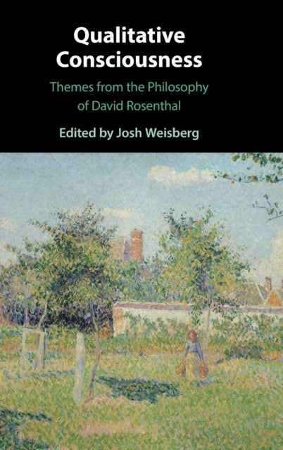 Qualitative Consciousness - Themes from the Philosophy of David Rosenthal