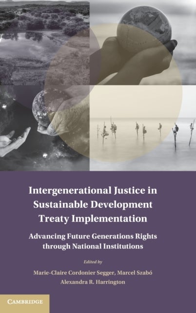 Intergenerational Justice in Sustainable Development Treaty Implementation - Advancing Future Generations Rights through National Institutions
