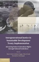 Intergenerational Justice in Sustainable Development Treaty Implementation