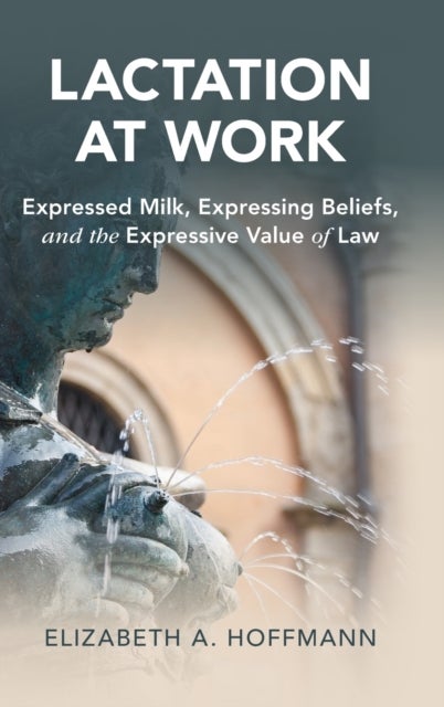 Lactation at Work - Expressed Milk, Expressing Beliefs, and the Expressive Value of Law