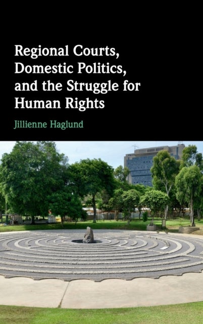 Regional Courts, Domestic Politics, and the Struggle for Human Rights