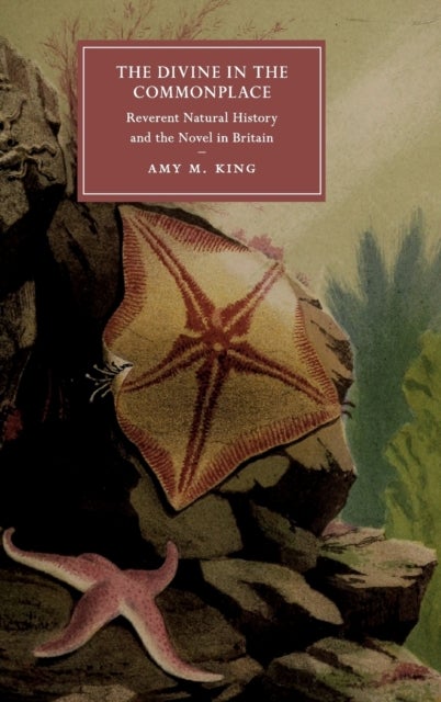 The Divine in the Commonplace - Reverent Natural History and the Novel in Britain